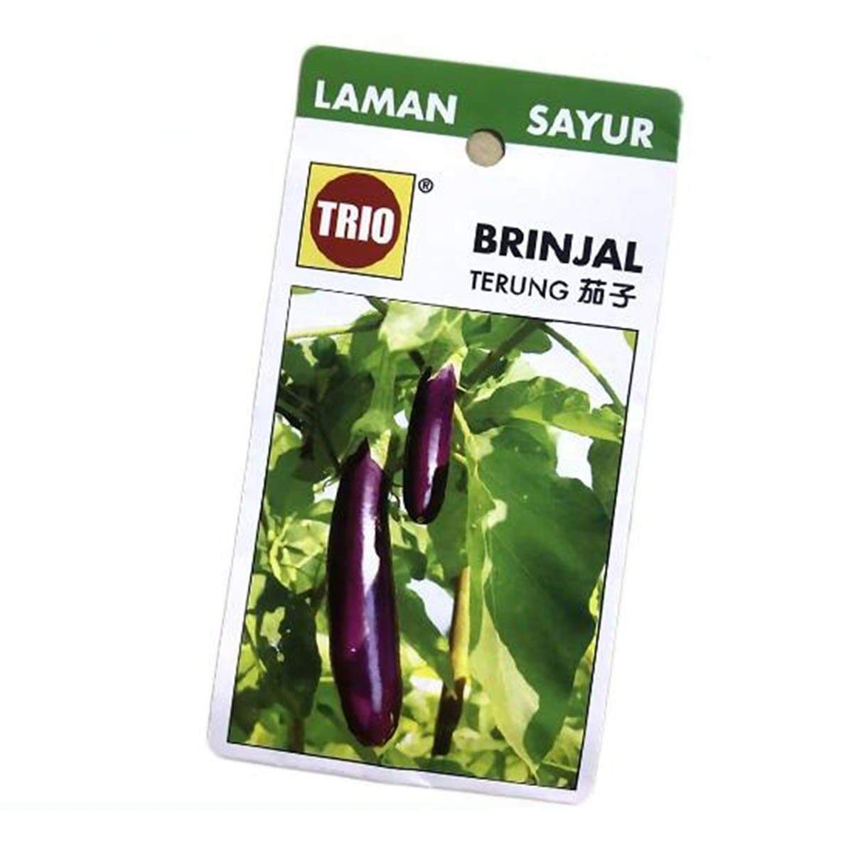 Trio Brinjal Eggplant Vegetable Seeds