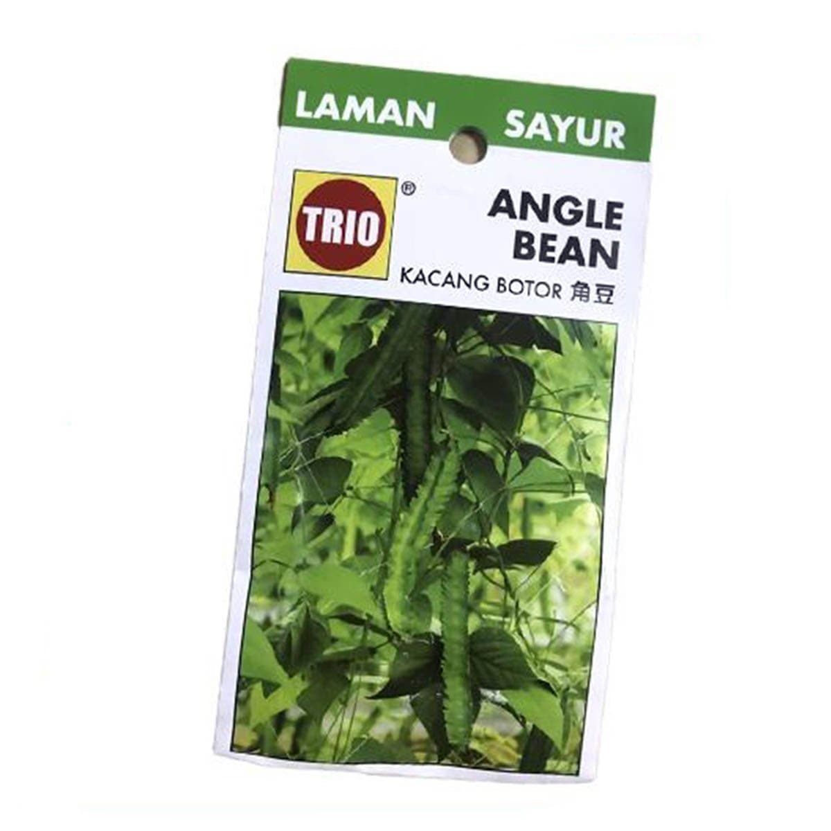 Trio Four Angled Bean Vegetable Seeds